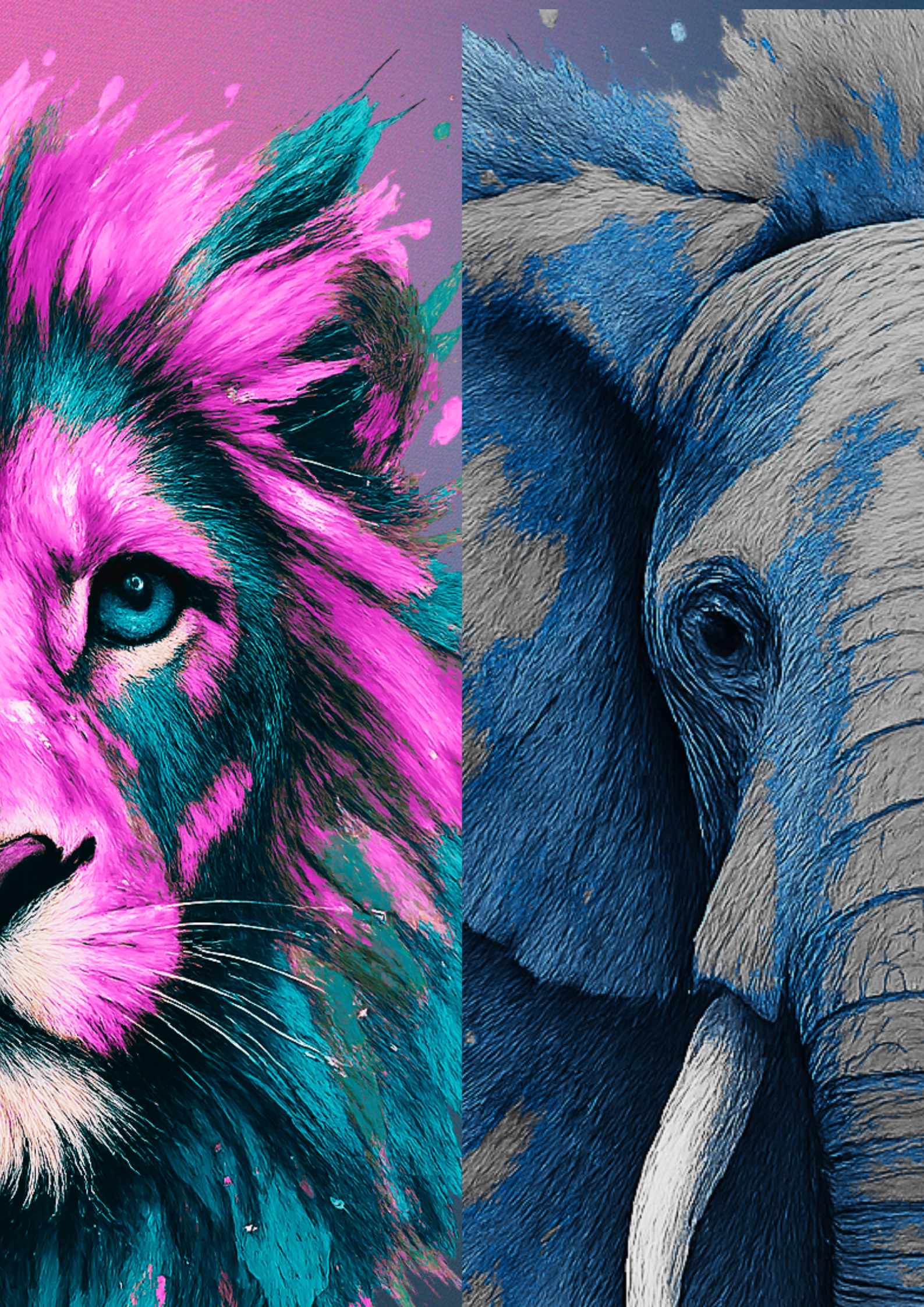 ALSH mercredis mars et avril 2026